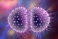 imagem de um vírus